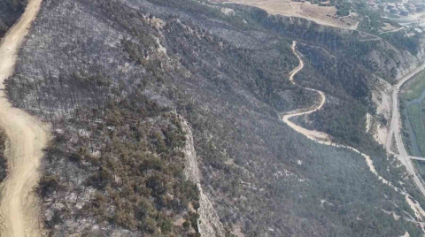 Orman yangınında zarar gören alanlar dronla görüntülendi
