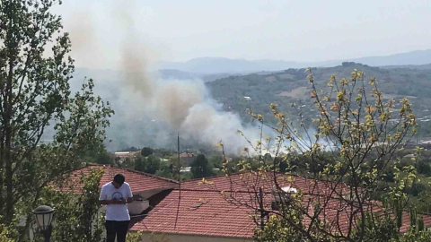 Bartın’da peş peşe yangınlar çıktı