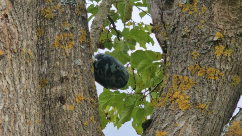 Su kuyusunda cansız bedeni bulunan Hasret’ın son mesajı babasına ‘Eve geliyorum’ olmuş