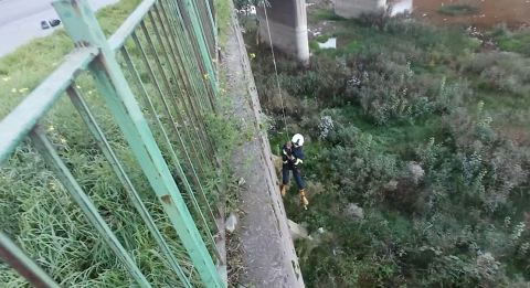 Filyos Çayı’na düşen yavru kedi kurtarıldı