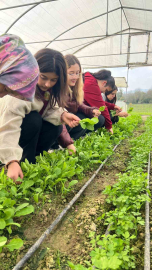 Zonguldak’ta Tarım Lisesi öğrencileri, uygulamalı eğitimde hasat yaptı