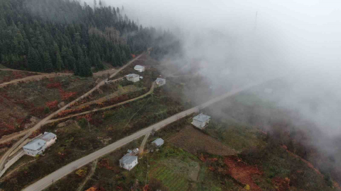 Kastamonu’da Yaralıgöz geçidinde sis nedeniyle görüş mesafesi düştü