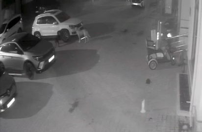 Sokak köpekleri park halindeki aracı parçaladı: O anlar kamerada