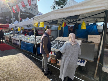 Zonguldak’ta tezgahtaki hamsi yerini diğer çeşit balıklara bırakıyor