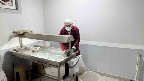 Alaplı’da fındık kavurma tesisleri taleplere yetişemiyor