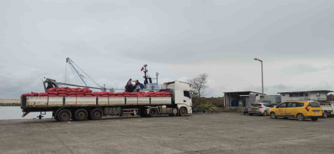 Karadeniz’den çıkartılan beyaz kum midyesine sıkı denetim