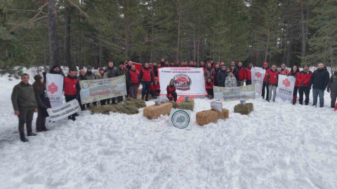 Kastamonu’da karla kaplanan ormanlara yaban hayvanları için yiyecek bırakıldı