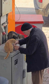 Yaşlı adamın sokak kedilerine şefkati yürekleri ısıttı
