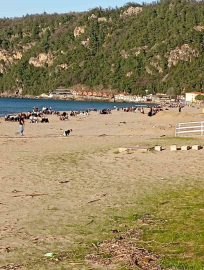 Sıcaklığın 28 dereceye çıktığı Bartın’da plaj ve parklar doldu