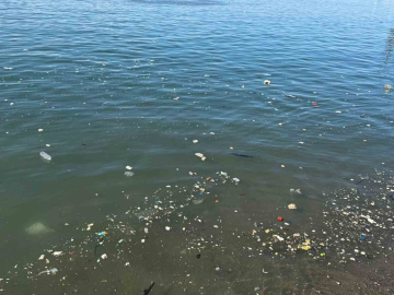 Zonguldak sahilinde çöp tepkisi