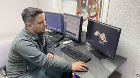 Kulağından beynine tümör yayılan sokak köpeği zorlu operasyonla hayata tutundu