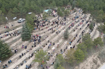 Çorum’da yüzlerce fidan toprakla buluştu
