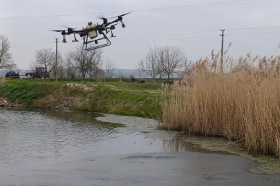 Manyas’ta sivrisinek ile mücadele seferberliği
