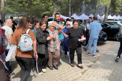 Şenlikte ağaçtan düşen dal yaşlı kadını yaraladı

