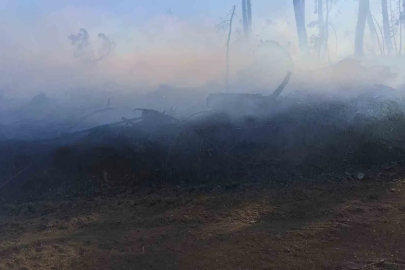 Araç yangını ormanlık alana sıçradı, ekipler alevleri büyümeden söndürdü
