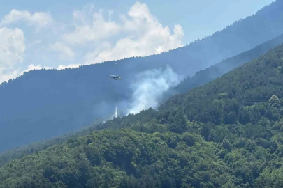 Ormanlık alanda çıkan yangına havadan ve karadan müdahale
