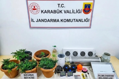Karabük’te uyuşturucu operasyonu: Skunk serası ortaya çıkarıldı
