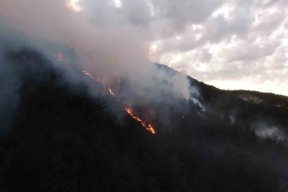 Kastamonu’daki orman yangınına müdahale sürüyor
