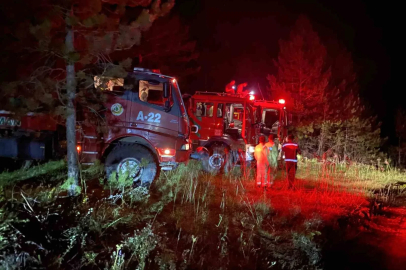 Kastamonu’daki orman yangını kontrol altına alındı
