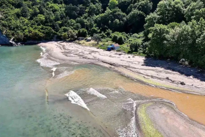 Bu plajdakiler 10 adımda il değiştiriyor
