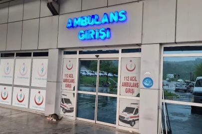 Alaplı’da ’pat-pat’ kazası: 2 yaralı
