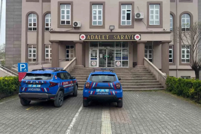 Bahçeye kenevir ekti, ihbarla yakalandı
