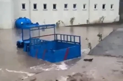 Kastamonu’da metrekareye 130 kilogram yağış düşen ilçede su baskınları yaşandı
