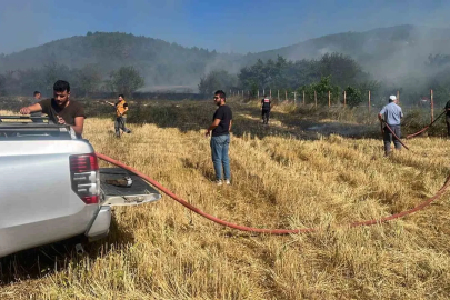 Anız yangını ormanlık alana sıçramadan söndürüldü
