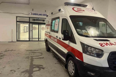 İncir ağacından düştü, ağır yaralandı
