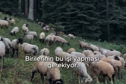 Belediye Başkanı Bozkurt’tan hayvan yetiştiriciliğine destek
