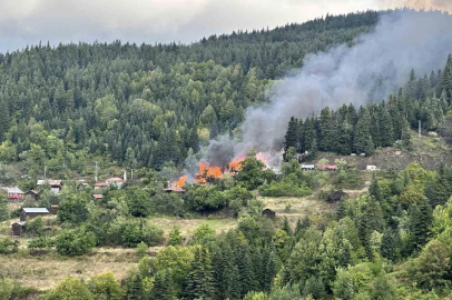 Kastamonu’da 4 ev alevlere teslim oldu

