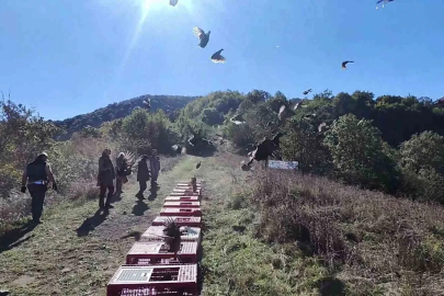 Zonguldak’ta yaban hayatını desteklemek için sülünler doğaya salındı
